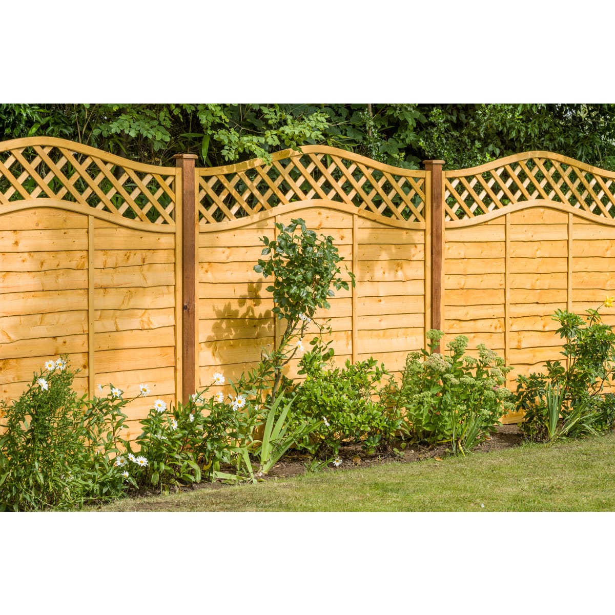 Grange Superior Lap Lattice Top Fence Panel 1 8 X 1 8m