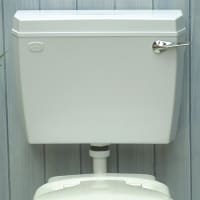 Thomas Dudley Acclaim Low Level Side Entry Cistern White