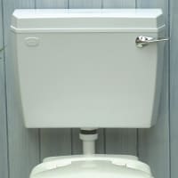 Thomas Dudley Acclaim Low Level Bottom Entry Cistern White