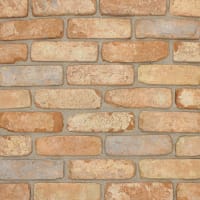 The Brick Tile Company Brick Slips Tile Blend 6 Orange - Sample Panel