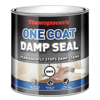 Thompson's One Coat Damp Seal 750ml White