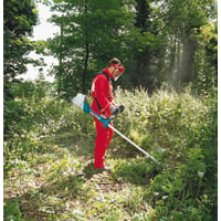 Garden strimmer hire online near me