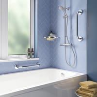 Stainless Steel Straight Grab Bar 450mm