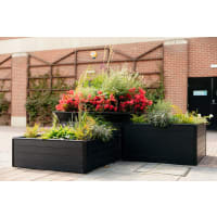 BioScapes BioCube Biodiversity Planter