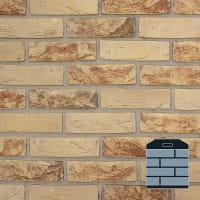 The Brick Tile Company Brick Slips Tile Blend 30 Yellow - Sample Panel