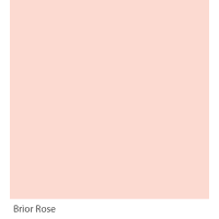 Graphenstone GrafClean Briar Rose 4L