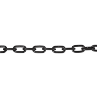 Short Link Chain Black 5 x 21 x 10mm