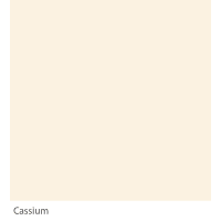Graphenstone Ambient Pro+ 1L Cassium