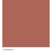 Graphenstone GrafClean Cinnamon 100ml