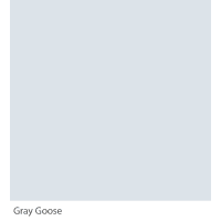 Graphenstone GrafClean Grey Goose 4L