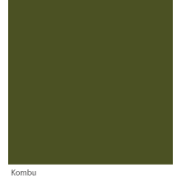 Graphenstone GrafClean Kombu 4L