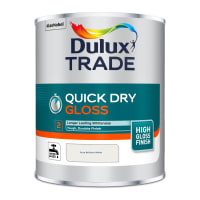 Quick Dry High Gloss Paint Pure Brilliant