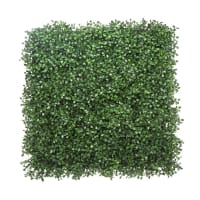 First Lawn Boxwood Living Wall Panel 50 x 50cm