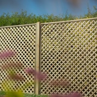 Forest Rosemore Lattice 6ft x 6ft (1.8m x 1.8m) Pack of 3