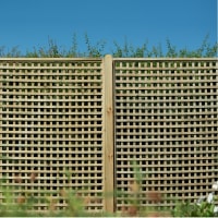 Forest Premium Framed Trellis 6ft x 6ft (1.8m x 1.8m) Pack of 3