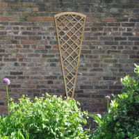 Forest Hidcote Fan Lattice Trellis 2ft x 6ft (0.61m x 1.8m) Pack of 6