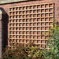 Grange Pressure Treated Heavy Duty Square Trellis Golden Brown 6ft X 6ft (1.83m x 1.8m)