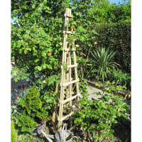 Trellis Obelisk