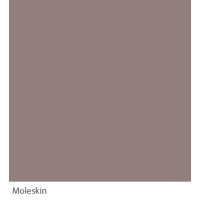 Graphenstone GrafClean Moleskin 4L