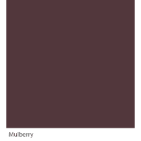 Graphenstone GrafClean Mulberry 100ml
