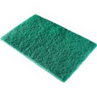 Eski Flat Scourer 225 x 150mm Green