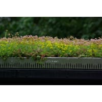 Sedum & Wildflower GrufeTile Green Roof Kit