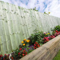 FSC Feather Edge Board Green Treated 1650 x 125 x 22mm