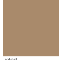 Graphenstone GrafClean Saddleback 4L