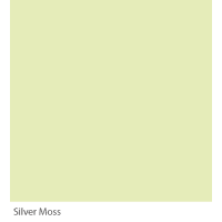 Graphenstone GrafClean Silver Moss 1L