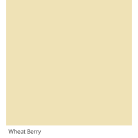 Graphenstone GrafClean Wheat Berry 4L