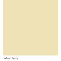 Graphenstone GrafClean Wheat Berry 10L