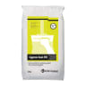 Gyproc Easi-Fill 20 Quick Dry 10kg White