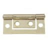 Flush Hinge 50 x 30mm Pack of 2 Electro Brassed