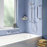 Stainless Steel Straight Grab Bar 450mm
