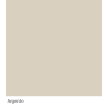 Graphenstone Ambient Pro+ 10L Argento
