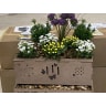 BioScapes WildPod Mini Biodiversity Planter