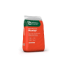 Heidelberg Sand Cement Mortar Plastic Handy Bag 20kg