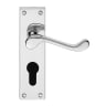 Carlisle Brass Victorian Scroll Lever on Euro Lock Backplate Polished Chrome