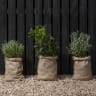 Ronseal 5 Year Fence Life+ Shed & Fence Protector Tudor 5L Black Oak