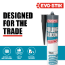 Evo-Stik Building Silicone Sealant Black