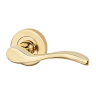 Ariel Door Handle Pack Polished Brass