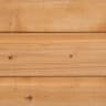 Forest Shiplap Dip Treated Reverse Apex Shed 6 x 4ft
