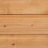 Forest Shiplap Dip Treated Apex Shed 6 x 4ft