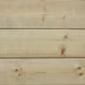 Forest Shiplap Pressure Treated Double Door Apex Shed 10 x 8ft