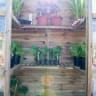 Forest Victorian Tall Wall Greenhouse with Auto Vent 1980 x 1470 x 740mm