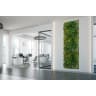 First Lawn Botanic Garden Living Wall Panel 1 x 1m