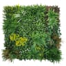First Lawn Botanic Garden Living Wall Panel 1 x 1m