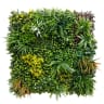 First Lawn Parsonage Living Wall Panel 1 x 1m