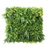 First Lawn Vita Living Wall Panel 1 x 1m