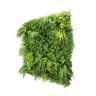 First Lawn Vita Living Wall Panel 1 x 1m